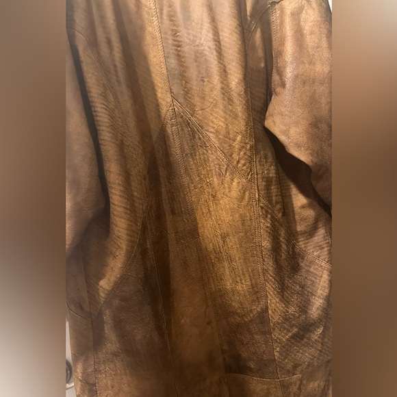 Express Limited - Picture 5 of 14